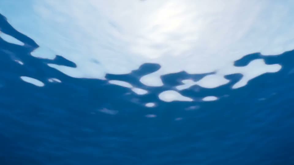 فيديو وموشن جرافيك 20